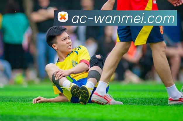 完美体育APP下载全站App